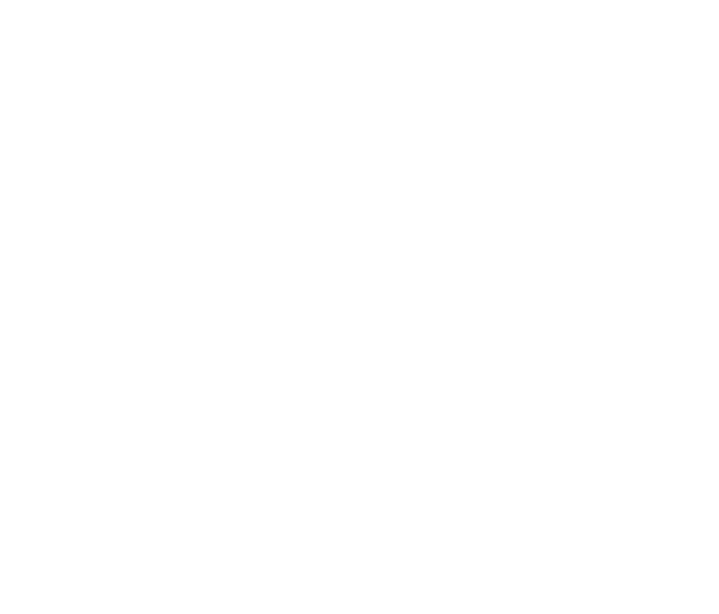 CrossFit Tübingen Logo