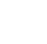 Performance Loft+ Logo